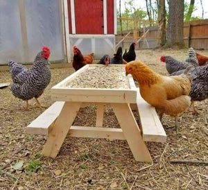 Chick-Nic Table